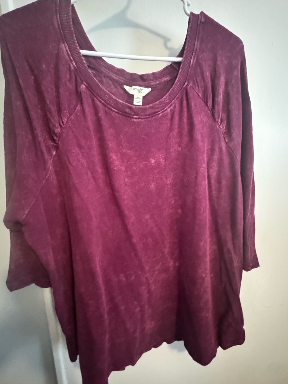 Terra & Sky Scoop Neck Tunic Top - Burgundy